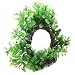 Jardin Plastic Curve Design Fish Tank Aquarium Green Artificial Water Plant Ornament, 6-Inch
