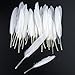 Plumas de Ganso, 250 pcs Blanco Natural Plumas de Gallo Manualidades Decoración...