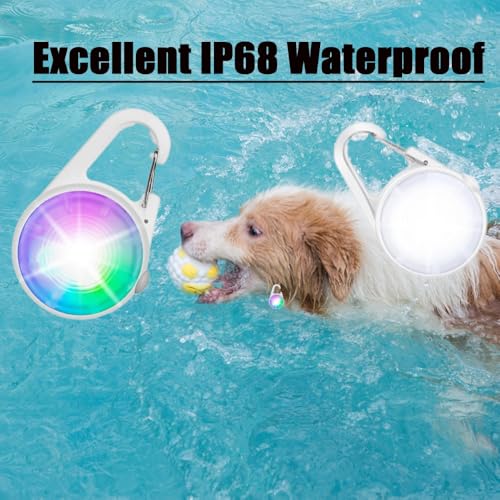 Smhddp 4 Modes Dog Lights 2Pack Led For Night Walking, Ip68 Waterproof Dog Light thumb #3