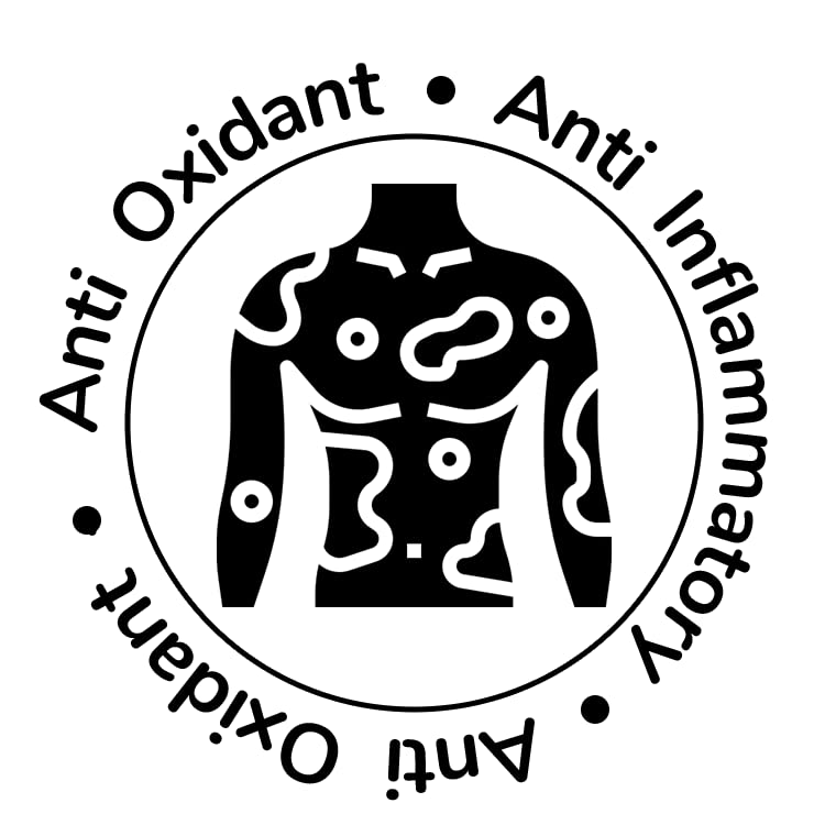 Miniatura 5 de Turmerico Juego completo de condimentos, cocción diaria, antioxidante, soporte antiinflamatorio, 4 paquetes de 2 onzas cada uno (pollo, carne de res