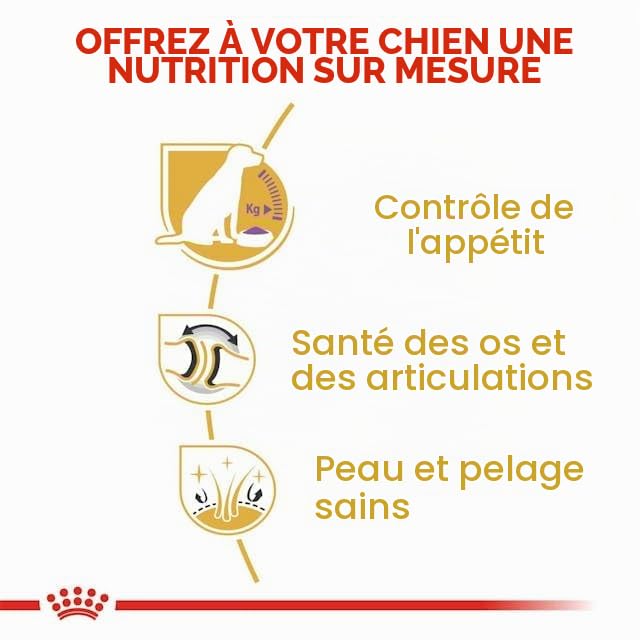 Royal Canin - Royal Canin Maxi Breed Labrador Retriever Sterilised Adult Contenances : 12 kg