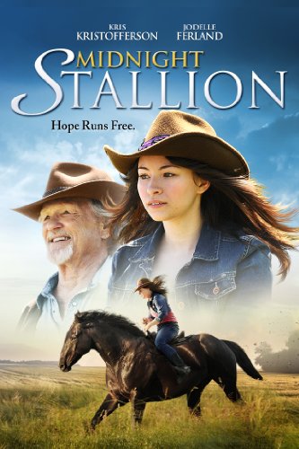 Midnight Stallion cover