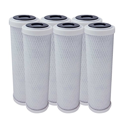 American Water Solutions 6 Pack Replacement Activated Carbon Block Filter - Universal 10 inch Filter for Watts Premier 500315 CT-1