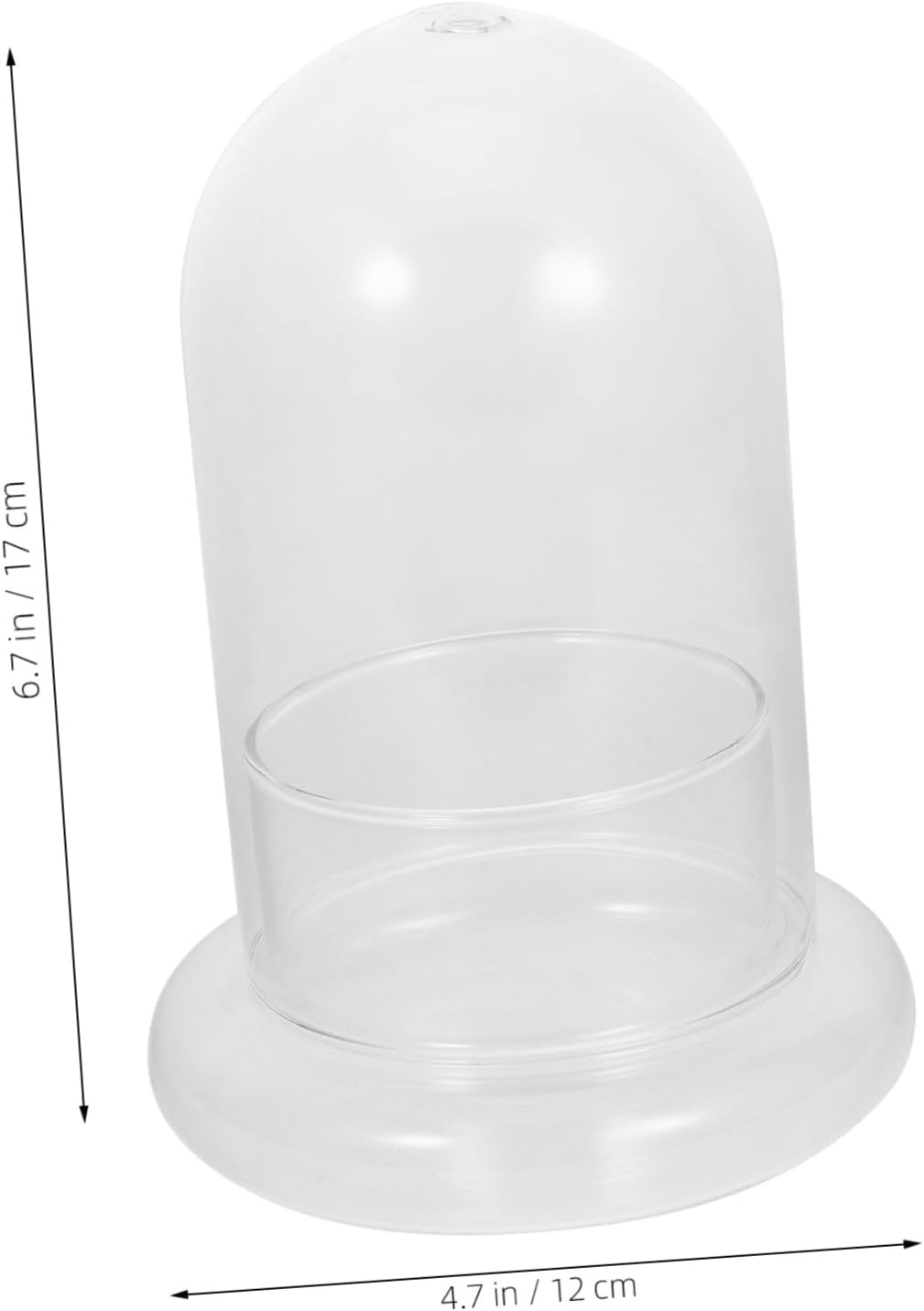 Plant Holder Eco Bottle Moss Glass Bottle Micro Landscape Creation for Home Decor Present for Mother's Day