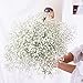 YIWOYI Ramo de flores secas naturales Gypsophila Paniculata preservadas para decoración del hogar y fiestas de boda (blanco, 15-30 cm, 20 g)