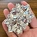 SCDZS Kristallklare Applique mit Schnalle Flatback Silber Basis Nähen Sie for DIY Hochzeitskleid Gürteldekoration (Color : Silver, Size : 7 * 5cm)
