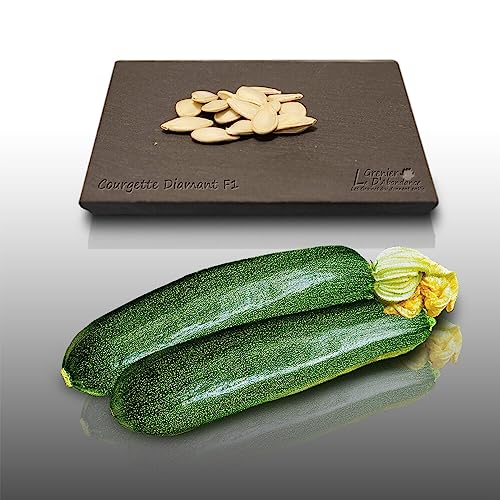15 graines à semer - Le Grenier d'Abondance - COURGETTE Diamant Hybride F1 - Cucurbita Pepo