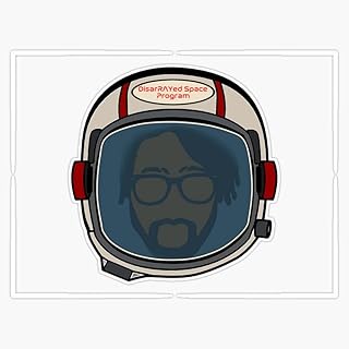 Magnet DisarRAYed Space Program Magnetic Bumper Sticker 5"