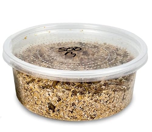 Josh's Frogs Mealworms (500 Count) #TOP1