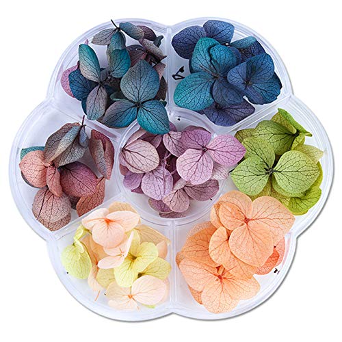 Beiling BEILING-00058 Dried Flower Nail Art Mini Natural Flowers Nail Art Decoration Accessories 3D Dry Flowers Nail Stickers thumb #1