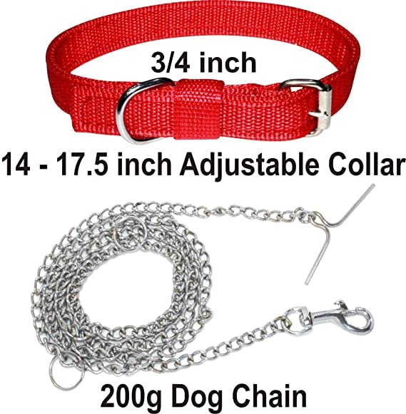 Image of PSK PET MART Dog Belt Combo of 3 /4 inch Red Dog Collar with Dog Chain Specially for Small Dogs & Puppies Under 10-15kg Dog Collar Chain