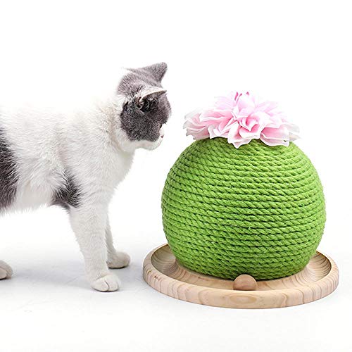 Ceepko Cactus Griffoirs pour Chats,Jouet Intertif pour Chat, Poteaux à Griffer en Forme de Cactus...