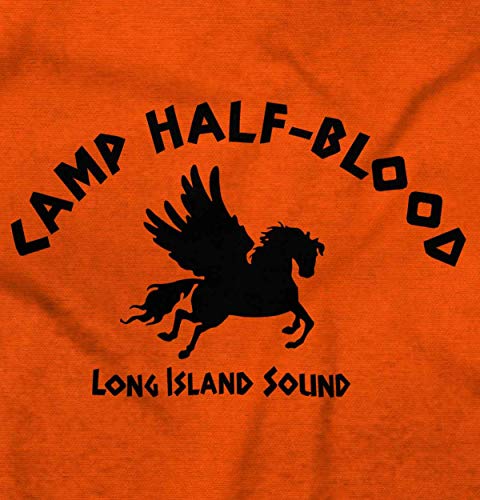 Brisco Brands Camp Half Blood Greek Mythology Graphic T Shirt Men or Women2