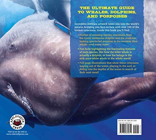 Discovering Whales, Dolphins & Porpoises: The Ultimate Guide to the Ocean's Largest Mammals