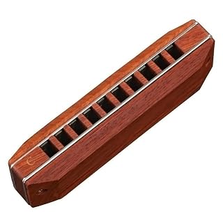 Harmonica Diatonic harmonica 10 trous Blues harpe Rose bois couvercle plaque phosphore bronze Anches C instruments… - Les Beatles, Paul McCartney, John Lennon, RIngo Starr, George Harrison Harmonica Diatonic harmonica 10 trous Blues harpe Rose bois couvercle plaque phosphore bronze Anches C instruments… – Image 4