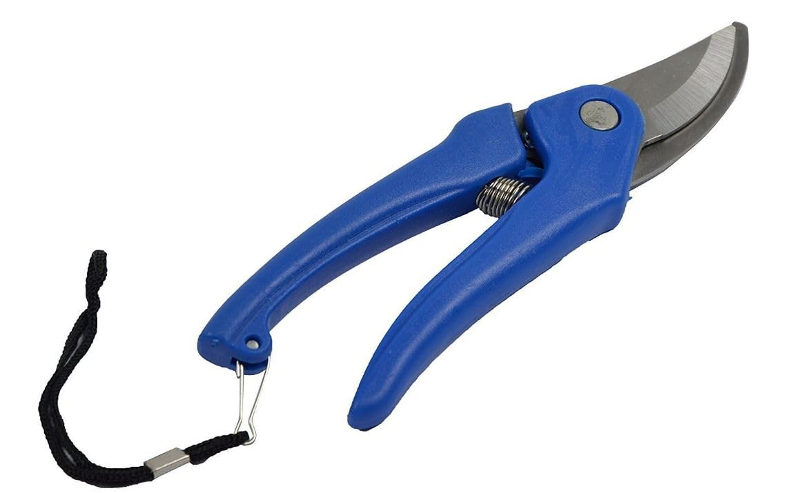 Stainless Steel Gardening Scissor (3 PC) Plant Cutter/Hand Pruner-Dark Blue color - 3 PC (B0CG3HDB2B) Amazon Price History, Amazon Price Tracker