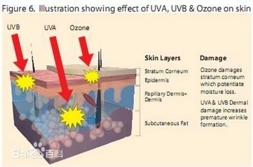 Miniatura 6 de Extracto de extracción supercrítica de Haematococcus pluvialis 100% Aceite de astaxantina (ASTA)  10% HPLC, 3.4 fl oz (3.4 fl oz.), el suplemento