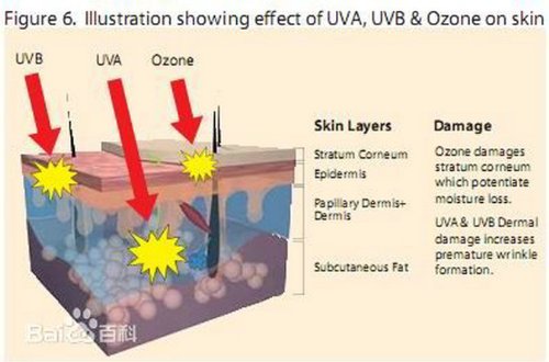 Haematococcus Pluvialis Extract Astaxanthin (Asta) Micro-Capsule Powder 2.5% Hplc, Cws Instant, 100 Grams (3.5 Oz.) #TOP3