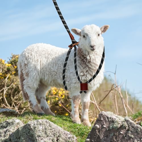 HRYOML Goat Harness & Leash, Adjustable Step-in Sheep Harness, Goat Accessories, Livestock Halter Supplies for Goats and Sheep (Large)