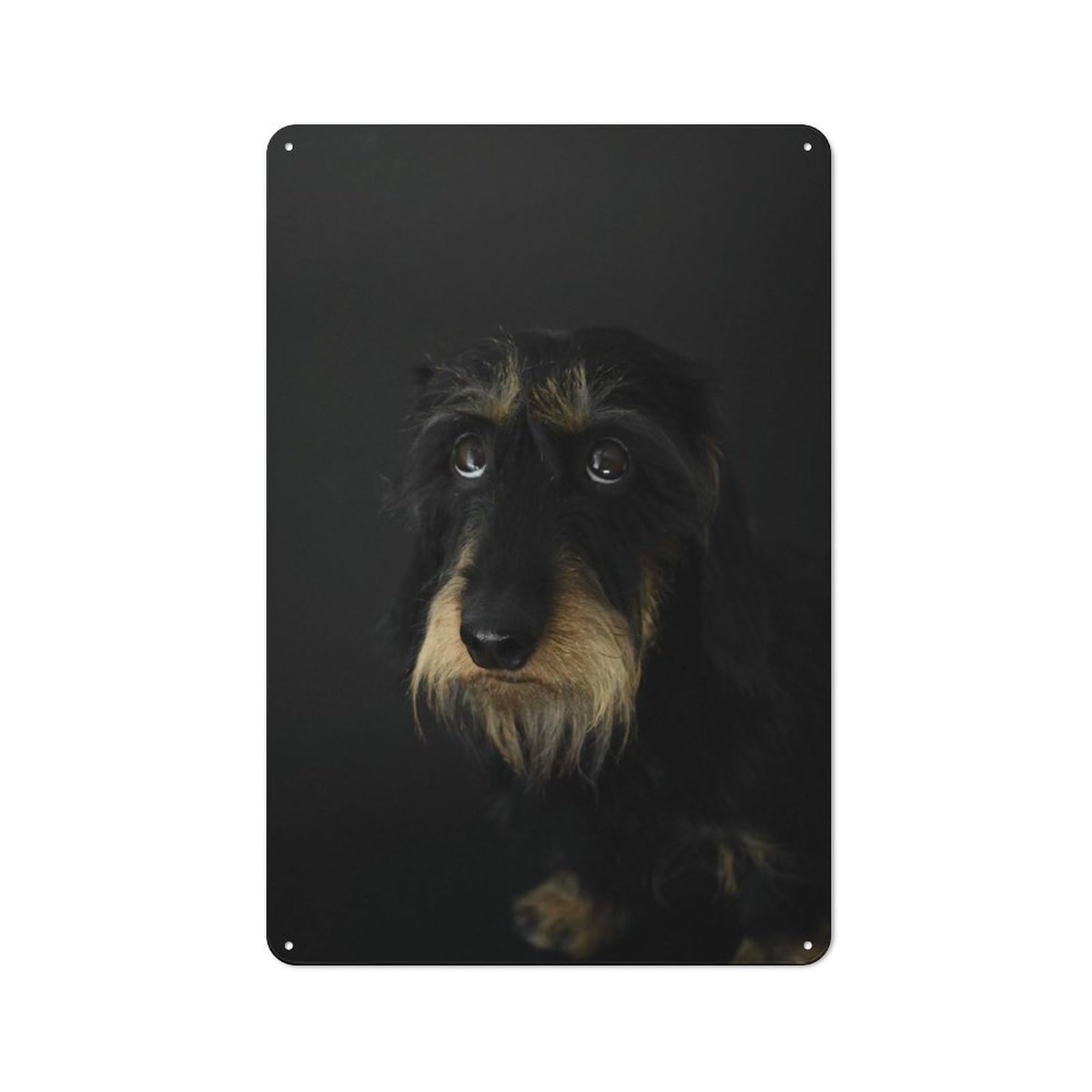 Distressed Look Dachshund Portrait Decorative Tin Sign 30x20cm, Retro Room Decor for Lounge, Study, Pub Or Wall Gallery