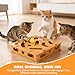 Movued Cat Nail File Enrichment Box, Scratch Puzzle, Stress-Free Nail Care Alternative, Interactive Maze Scratcher with Bell Ball for Indoor Cats