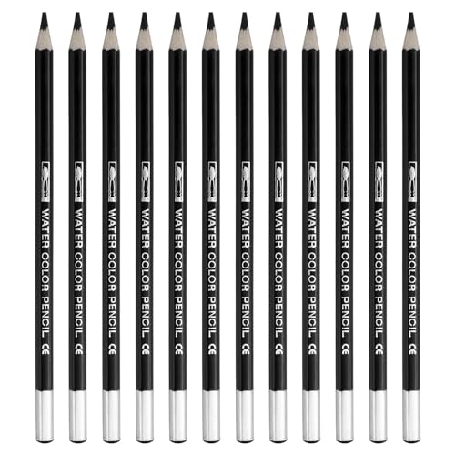 PATIKIL Watercolor Pencil, 12Pcs Water Soluble Pencils for Blending, Coloring, Sketch Drawing, Painting, Black