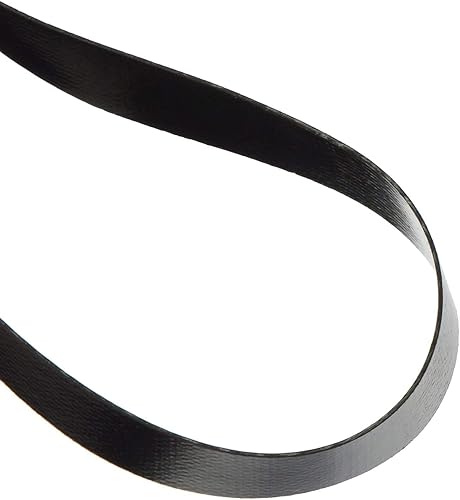 Eureka Tipo W Cinturón vertical sin bolsa 12.8X429 1 Solo parte # 67037,86389 (1 cinturón)