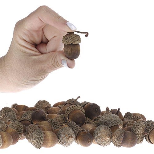 Factory Direct Craft Nutty-Brown Artificial Acorns with Natural Acorn Caps for Thanksgiving Table Decoration, Fall Crafting, and Autumn Decorating