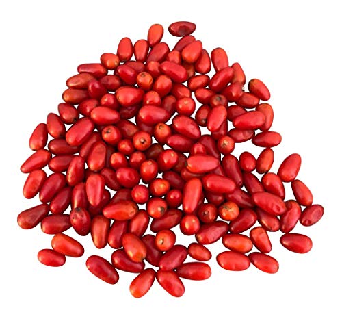 10 Semillas Chiltepin -Chile- by Samenchilishop