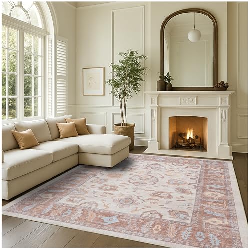Fame Rugs Brown Modern Oushak Rug 8x10, Vintage Turkish Colorful Oriental Washable Antique Inspired Large Area Rugs, Luxury Living Room Bedroom (383BB, 7'6 x 10')
