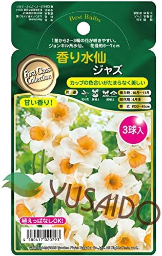 Amazon タキイ種苗 Gpnコレクション 香り水仙 ジャズ ３球 花色 黄色 球根