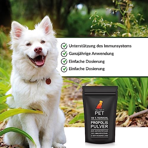 nectarvit PET Propolis Pulver - Die natürliche Wahl für die Gesundheit Ihres Tieres - 50 g
