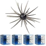 4Pcs Floating Sea Urchin Soft Lure | Tentacle Creature Lure, 4.33' & 3.54' TPR Finesse Baits, 5 Colors, Ideal for Bass Fishing with Drop Shot, Wacky Rig, Neko Rig (B, Large)