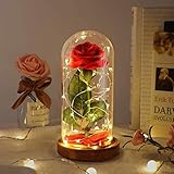 Beauty and The Beast Rose Set-The Best Holiday Surprise Gift for Mothers, Beautifully Decorated With Red Silk Roses, LED Lights, Dome Glass and Wooden Base