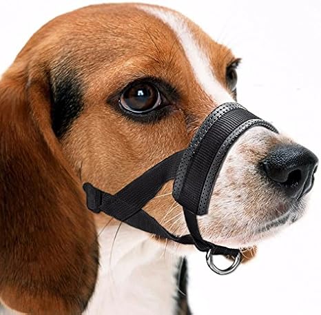 Perro hocico perro formación amigable hocico ajuste fácil para perros ajustable perro mascota boca cubierta bocas anti-mordiscos Barking cómodo perro ...