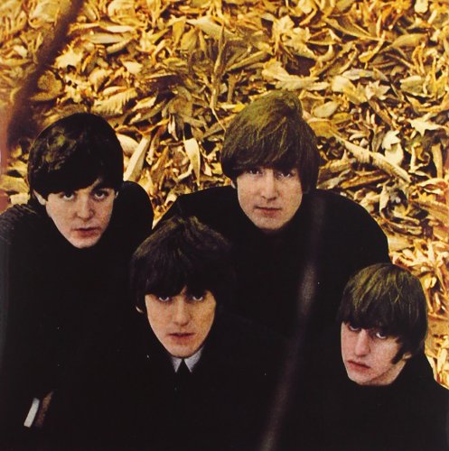 Vista 12 de The Beatles in Mono The Complete Mono Recordings