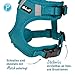 Petlando Hundegeschirr Mesh Vest, leichtes Brustgeschirr aus weichem Mesh & Nylon, stufenlos verstellbar, reflektierend mit 2 D-Ringen, Petrol M, Welpengeschirr mitwachsend