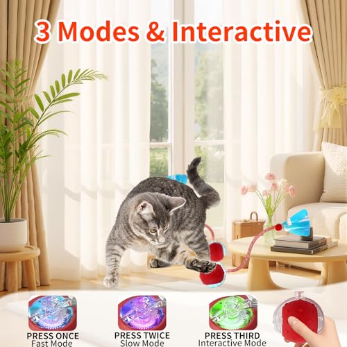 Interactive Cat Toys Ball - 2025 New Gen with Smart Obstacle Avoidance,Bird Chirps & Auto Wake-Up,Includes 1 Speedy Tail 2.0 Ropes, Ideal Kitten Toys for Bored Indoor Cats (Red)