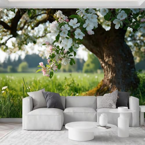 Papel pintado fotográfico no tejido prado manzano 350 x 256 cm papel pintado panorámico, paisaje primavera póster de pared tapicería foto, para sala de estar, dormitorio, dormitorio infantil