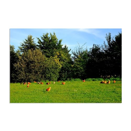 Impression sur toile animaux un troupeau de poulets sur l'herbe verte 90x60cm