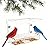 Clear Window Bird Feeder with 5 Extra Strong Suction Cups, Acrylic Wildlife Seed Feeder? as an Outdoor Transparent Bird Watching Gift, Easy-to-Clean, Garden Decor?Middle Size