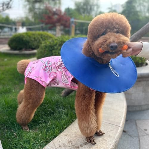 Image of Recovery Suit for Dogs After Surgery Dog Onesie Surgery Recovery Suit for Female Male Dogs Recovery Shirt for Abdominal Wounds or Skin Diseases Bodysuit Dogs Pajamas(SW,XS)