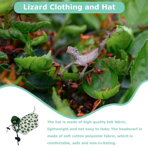 Photo complémentaire