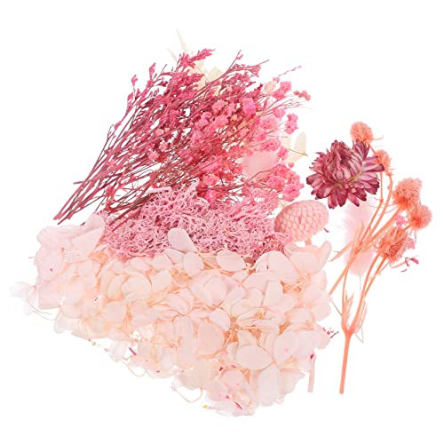 EXCEART 5 Conjuntos De Molduras Para Fotos De Imortalidade De Flores Secas Flores Naturais Plantas R