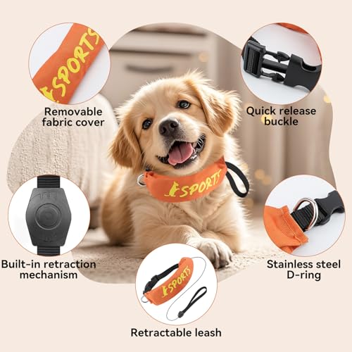 NAMSAN 2-in-1-Hundehalsband mit Rollleine Leine Verstellbares Hundehalsband Eingebaut Ausziehbar Hundeleine mit Griff für Kleine und Mittlere Hunderassen