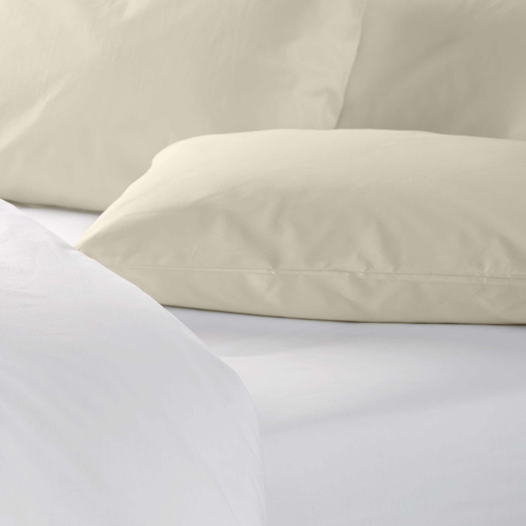 144 Thread Count Polycotton Plain Coloured Pillowcase, Cream