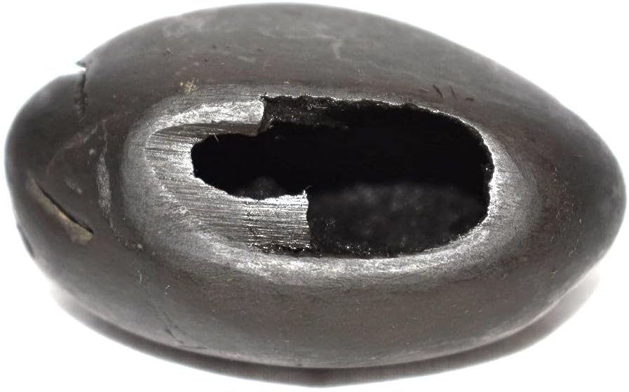 Rudrakshguru Krishna Shaligram Fossil Gandaki River Nepal (Black)