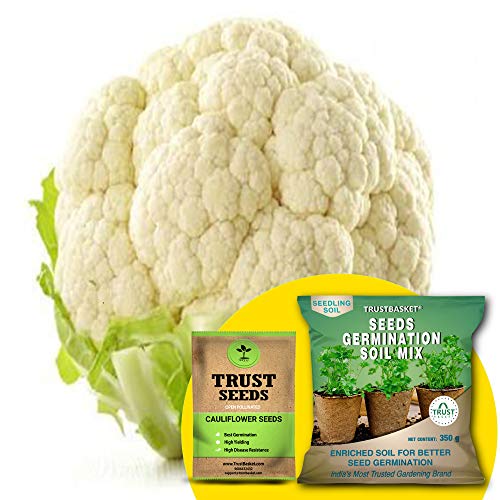 Image of TrustBasket Cauliflower (OP /Desi) Seeds with Free Germination Potting Soil Mix