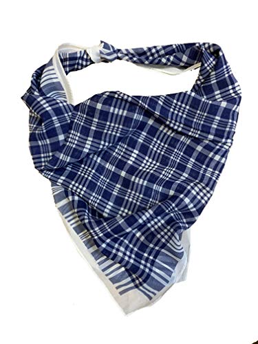 PAÑUELO DE CUADROS AZUL Y BLANCO (1) Cover