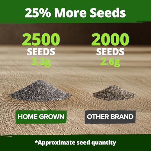Image of HOME GROWN California Poppy Ivory Castle 2500 Seeds 3.3g 2026 Spring Flower Seeds for Planting Outdoors, California Poppies, Bulk Perennial Self-Seeding Flower Seeds (Eschscholzia Californica)